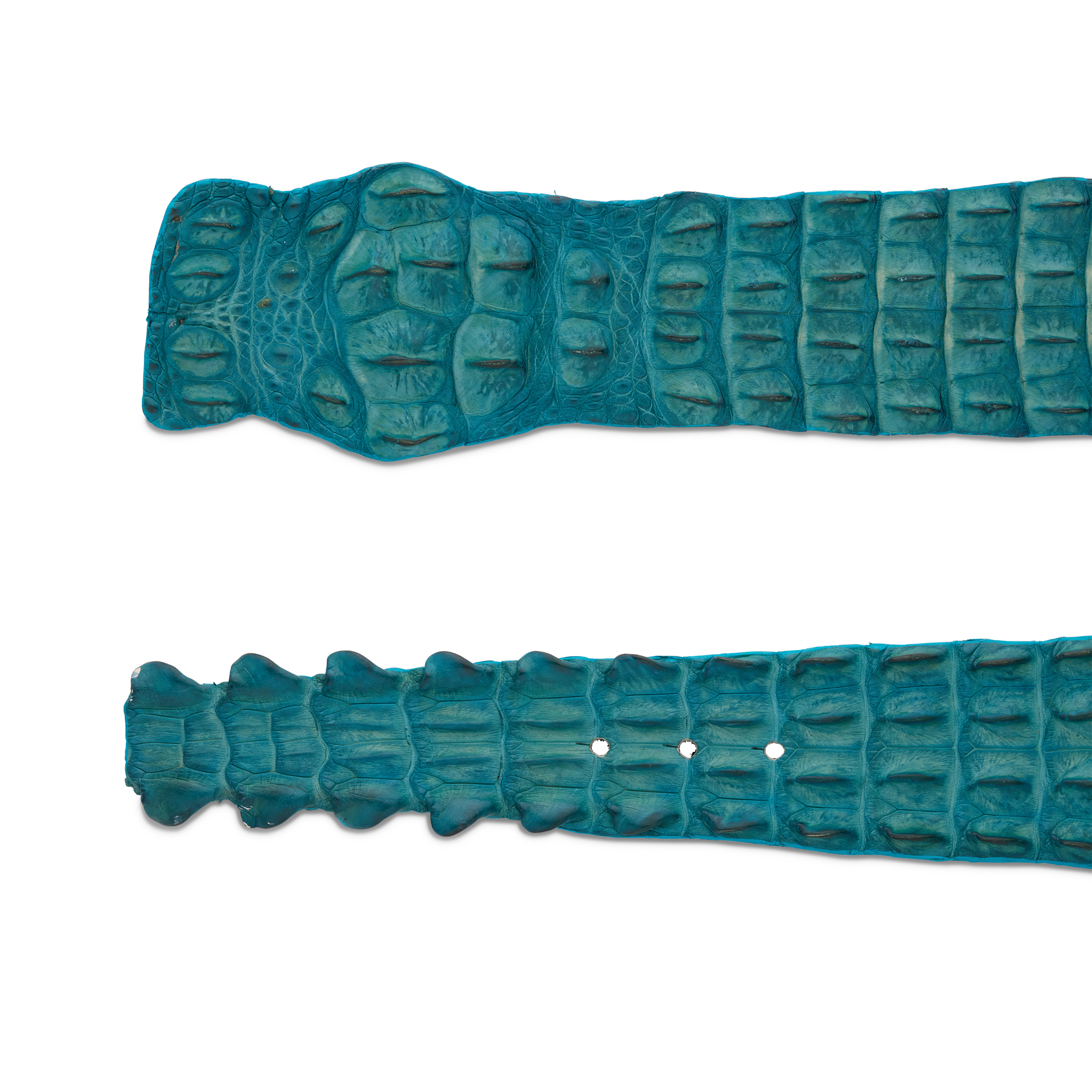 Hornback Caiman Belt :: Turquoise