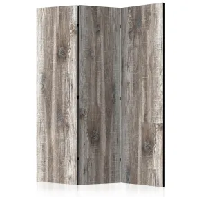 Paravento Stylish Wood [Room Dividers]